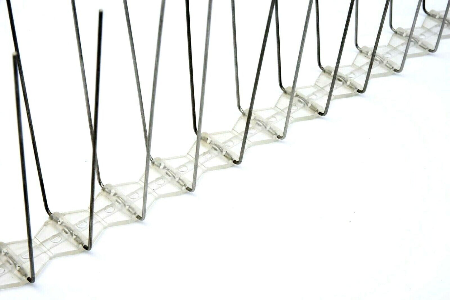 Stainless Steel Bird Spike Large Twin Spikes - 25 Metres-image-2