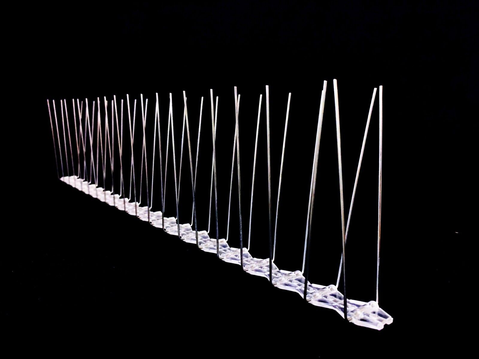 Stainless Steel Bird Spike Large Twin Spikes - 25 Metres-image-8
