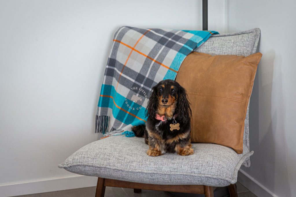 Wool Blanket in Coorie Tartan