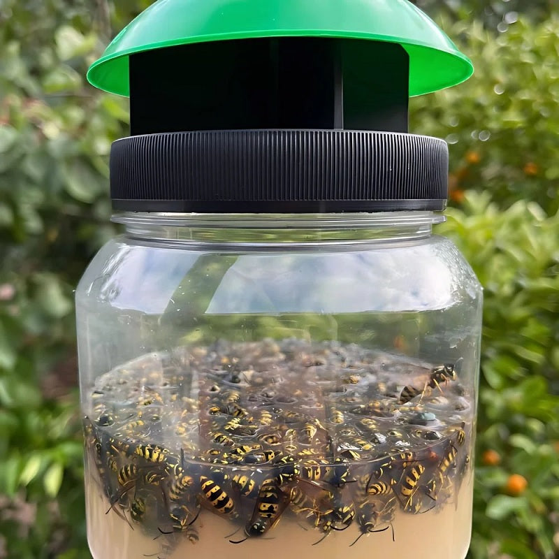EnviroSafe European Wasp Trap-image-3
