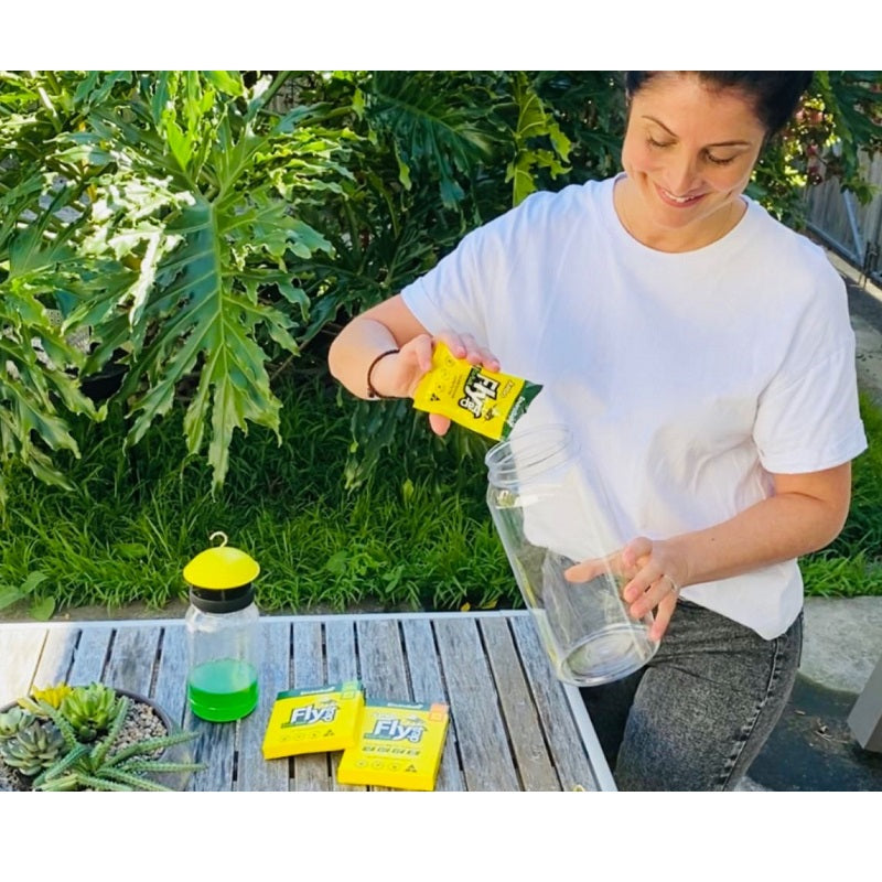 EnviroSafe Fly Trap-image-2