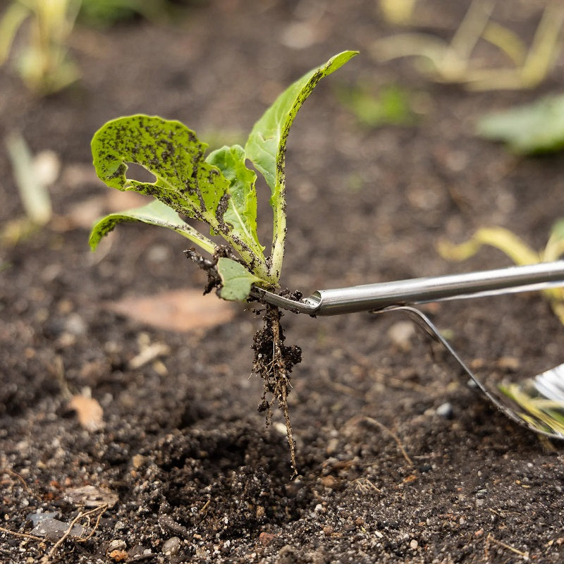 Cyclone Hand Weeder-image-3