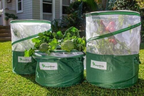 Vegepod Vegebag-image-6