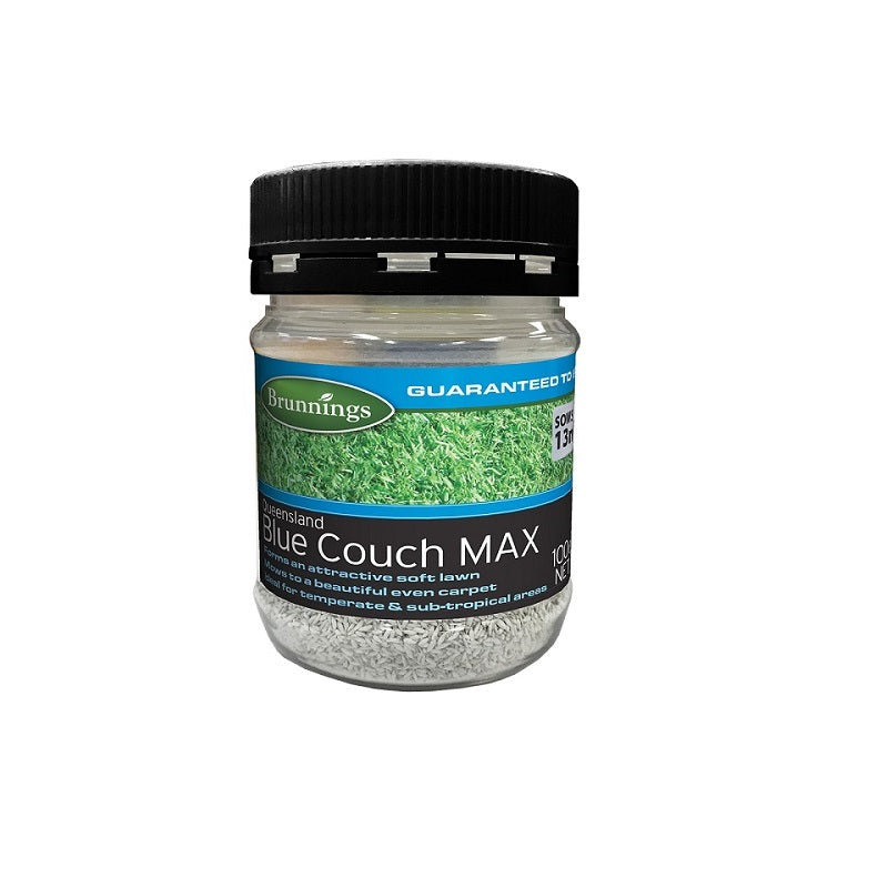 Brunnings Queensland Blue Couch Max Lawn Seed-image-1