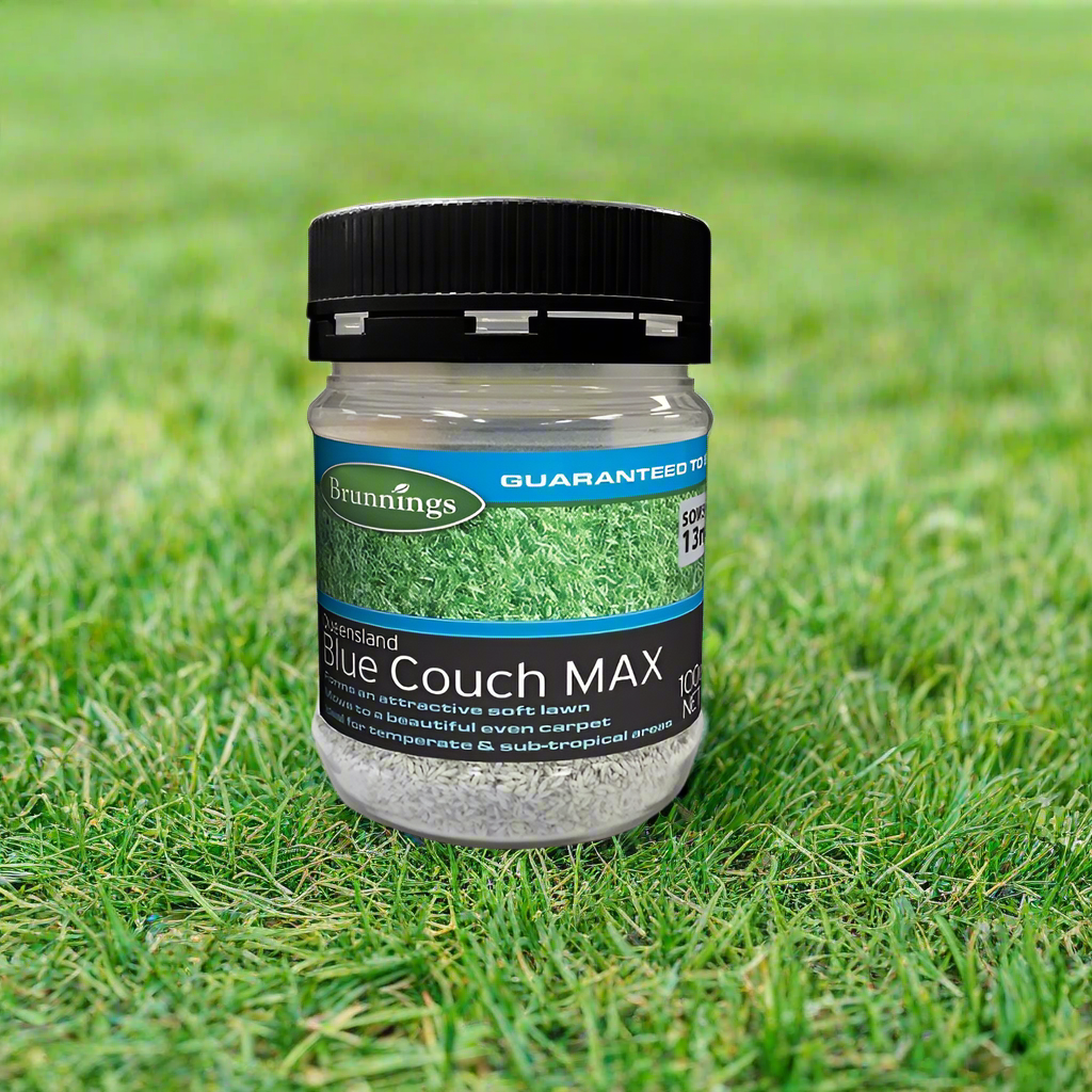 Brunnings Queensland Blue Couch Max Lawn Seed-image-2