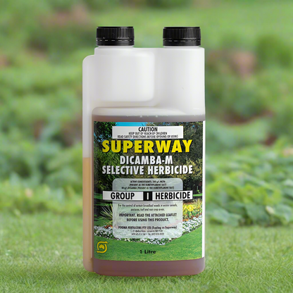 Superway Dicamba-M Herbicide 1L-image-2